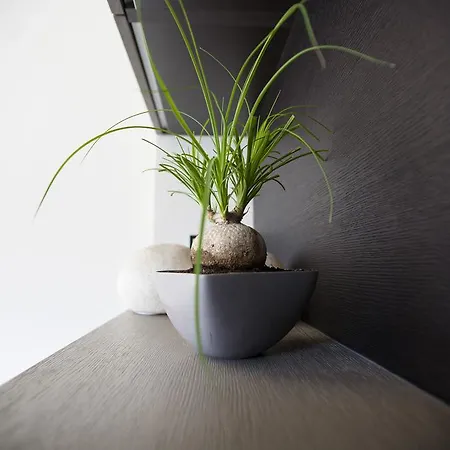 La Loge De Mer, Urbain 게스트하우스 페르피냥