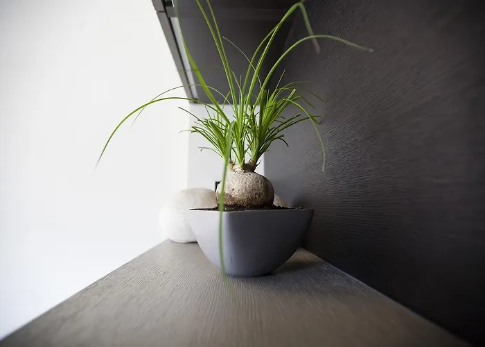 La Loge De Mer, Urbain Гостевой дом Перпиньан